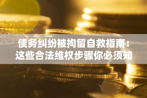 济南债务纠纷被拘留自救指南：这些合法维权步骤你必须知道！