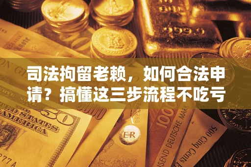 济南司法拘留老赖，如何合法申请？搞懂这三步流程不吃亏！
