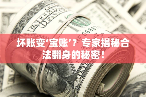 济南坏账变‘宝账’？专家揭秘合法翻身的秘密！