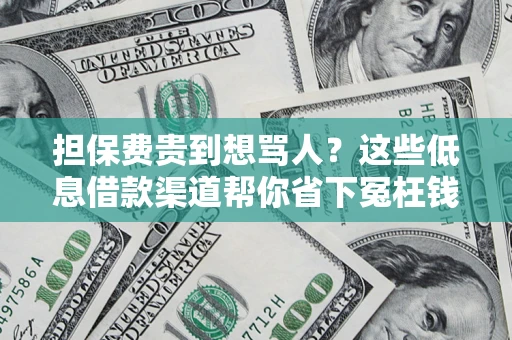 济南担保费贵到想骂人？这些低息借款渠道帮你省下冤枉钱
