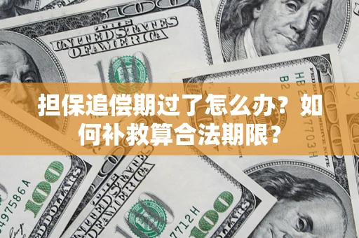 济南担保追偿期过了怎么办？如何补救算合法期限？