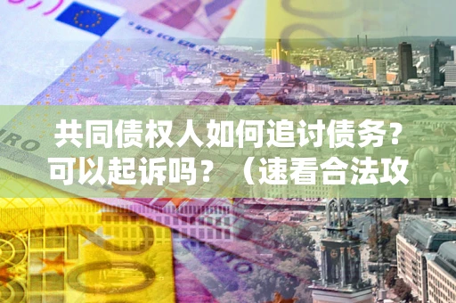 济南共同债权人如何追讨债务？可以起诉吗？（速看合法攻略）
