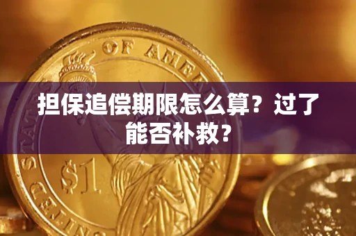 济南担保追偿期限怎么算？过了能否补救？